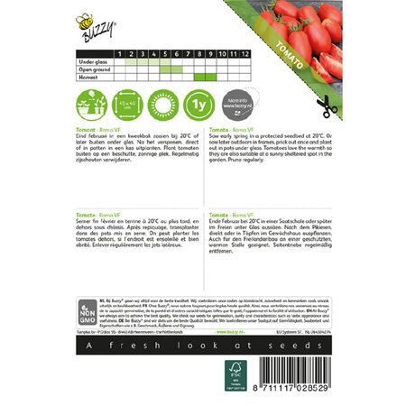 Buzzy Tomatoes "Roma VF" - Solanum lycopersicum - Italian Tomatoes