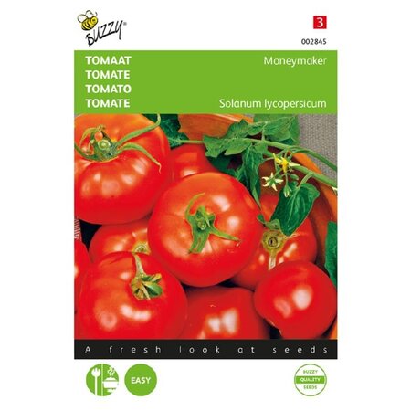 Buzzy Tomato Moneymaker - Popular Variety - High Yield - Round Tomatoes