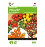 Buzzy Cherry Tomato Mix - Mixed Balcony Tomatoes - 4 varieties - Cherry Mix - Cocktail Tomatoes