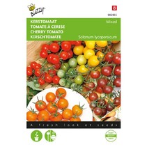 Cherry Tomato - Mixed