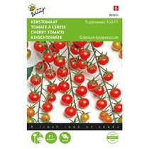 Cherry tomato - Supersweet 100 F1