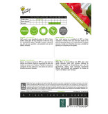 Buzzy Sweet pepper Yolo Wunder - Quality Vegetable Seeds With High Germination