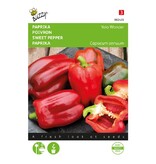 Buzzy Paprika Yolo Wunder - Kwaliteit Groentezaden Met Hoge Kiemkracht - Garden Select