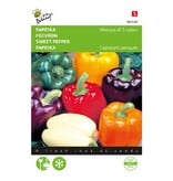 Buzzy Sweet pepper Mixed - Block sweet pepper - 5 Colours - Buy sweet pepper seeds