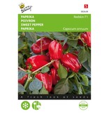 Buzzy Sweet Peppers - Paragon - Red Snack Peppers - Ideal For Pots On Balcony And Terrace