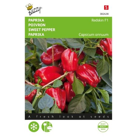 Buzzy Paprika - Paragon - Rode Snackpaprika - Ideaal Voor Potten Op Balkon En Terras