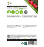 Buzzy Sweet Peppers - Paragon - Red Snack Peppers - Ideal For Pots On Balcony And Terrace