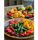Buzzy Pepper - Mixed - 5 Varieties - Buy Vegetable Seeds?