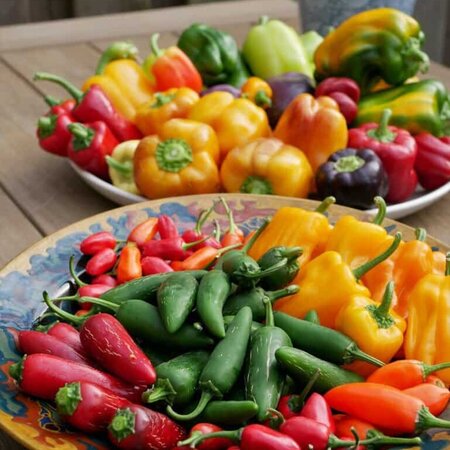 Buzzy Pepper - Mixed - 5 Varieties - Buy Vegetable Seeds?