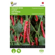 Spanish Pepper - Cayenne Long Slim