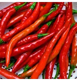 Buzzy Spanish Pepper - Cayenne Long Slim - Sharp Taste - Ideal for oriental dishes
