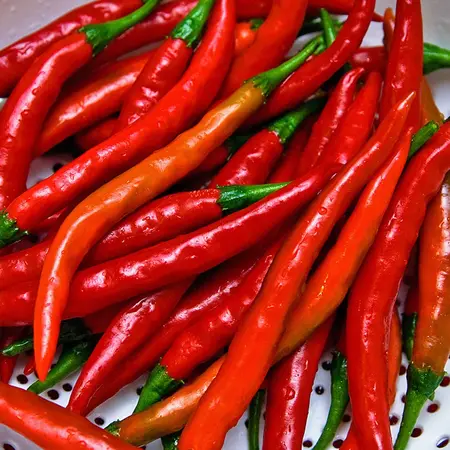 Buzzy Spanish Pepper - Cayenne Long Slim - Sharp Taste - Ideal for oriental dishes