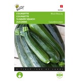 Buzzy Courgette - Black Beauty Seeds - Buy Vegetable Seeds? - Garden Select