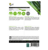 Buzzy Zucchini - Black Beauty Seeds - Gemüsesaatgut kaufen? - Garden Select