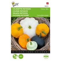 Courgette Patisson - Gemengd