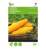 Buzzy Zucchini - Gold Rush F1 - Hybrid - Gelb - Gemüsesaatgut kaufen?