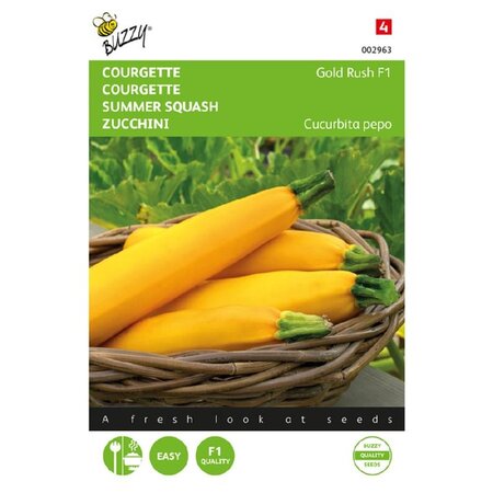 Buzzy Courgette - Gold Rush F1 - Hybrid - Yellow - Buy Vegetable Seeds?