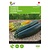 Buzzy Zucchini - Diamant F1