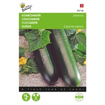 Cucumber - Johanna