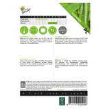 Buzzy Cucumber - Euphoria F1 - Hybrid - Fast-growing and productive cucumber variety
