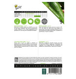 Buzzy Snack cucumber Iznik F1 - Mini cucumber from 12 to 14 cm. - Snack cucumber
