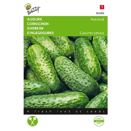 Buzzy Gherkin - National - Small Green Gherkins - Suitable For Pickling - Kitchen Garden