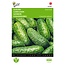 Buzzy Gherkin - National - Small Green Gherkins - Suitable For Pickling - Kitchen Garden