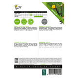 Buzzy Gherkin - National - Small Green Gherkins - Suitable For Pickling - Kitchen Garden