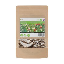 Meadow Flower Seeds - 25 M2