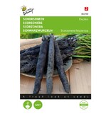 Buzzy Salsify - Duplex - Winter vegetable - Root vegetable - Asparagus substitute