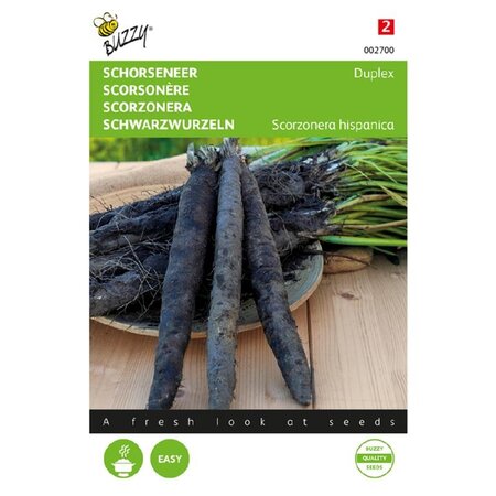 Buzzy Salsify - Duplex - Winter vegetable - Root vegetable - Asparagus substitute