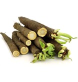 Buzzy Salsify - Duplex - Winter vegetable - Root vegetable - Asparagus substitute