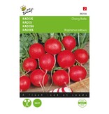 Buzzy Radish - Cherry Belle Seeds - Quickly Delicious Crunchy Mild Radishes - High Yield