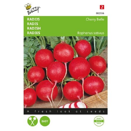 Buzzy Radish - Cherry Belle Seeds - Quickly Delicious Crunchy Mild Radishes - High Yield