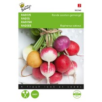 Radish - Mixed