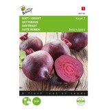Buzzy Beetroot - Bullet 2 - Suitable for autumn and summer cultivation - Biennial Crop
