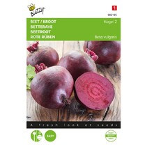 Rote Bete - Kugel 2