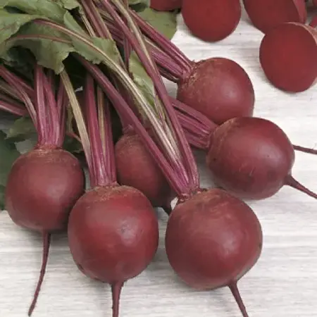 Buzzy Beetroot - Bullet 2 - Suitable for autumn and summer cultivation - Biennial Crop