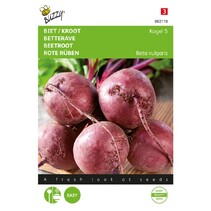 Red beetroot - Bullet 5