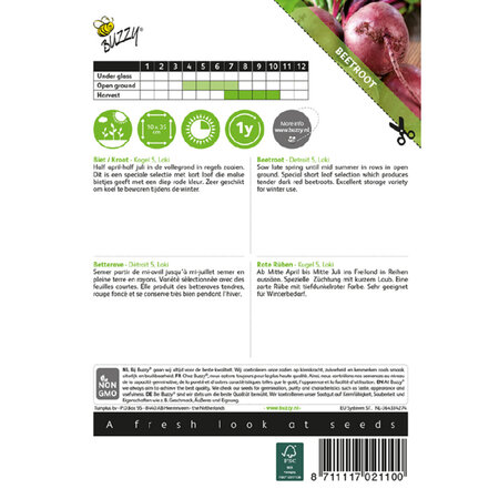 Buzzy Beetroot - Bullet 5 - Summer crop - Tender And Excellent For Winter Storage.