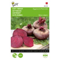 Beetroot - Egyptian Flat Round