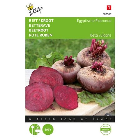 Buzzy Beetroot - Egyptian Flat Round - Early Variety And Suitable For Conservation