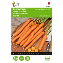 Summer carrot - Amsterdam Bak 2