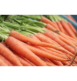 Buzzy Summer carrot - Amsterdam Bak 2 - Early Summer carrot - Long And Slim - Wood carrot