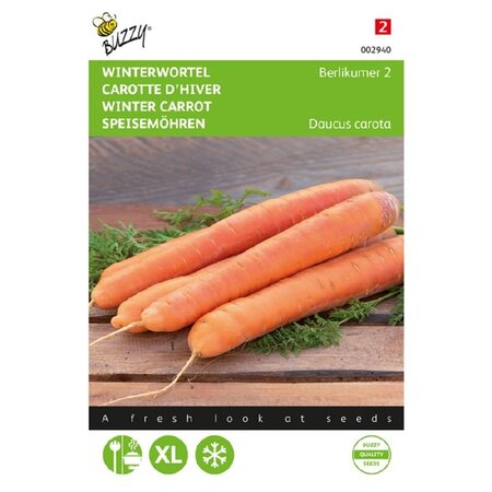 Buzzy Winter carrot - Berlikumer 2 - Delicious Sweet Carrot - Autumn-Winter Harvest