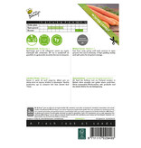 Buzzy Winter carrot - Berlikumer 2 - Delicious Sweet Carrot - Autumn-Winter Harvest