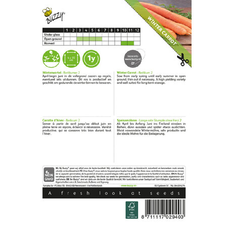 Buzzy Winter carrot - Berlikumer 2 - Delicious Sweet Carrot - Autumn-Winter Harvest