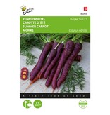Buzzy Summer carrot - Purple Sun F1 - Purple Carrot With Orange Core - Hybrid Variety