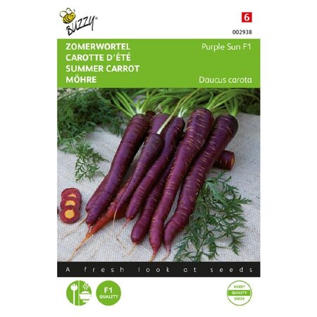 Buzzy Summer carrot - Purple Sun F1 - Purple Carrot With Orange Core - Hybrid Variety