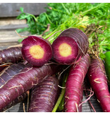 Buzzy Zomerwortel - Purple Sun F1 - Paarse Wortel Met Oranje Kern - Hybride Ras